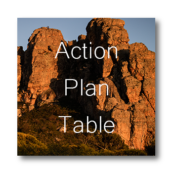 Action Plan Table